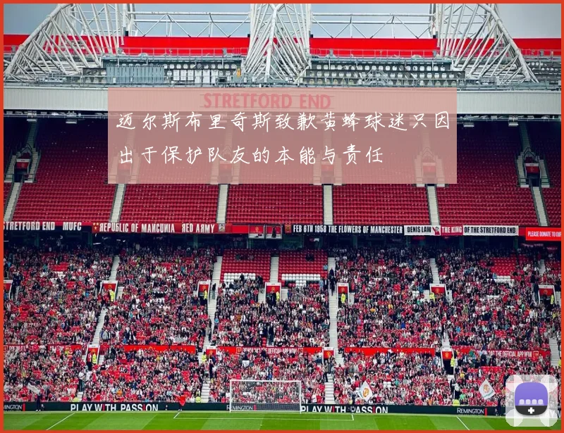 迈尔斯布里奇斯致歉黄蜂球迷只因出于保护队友的本能与责任