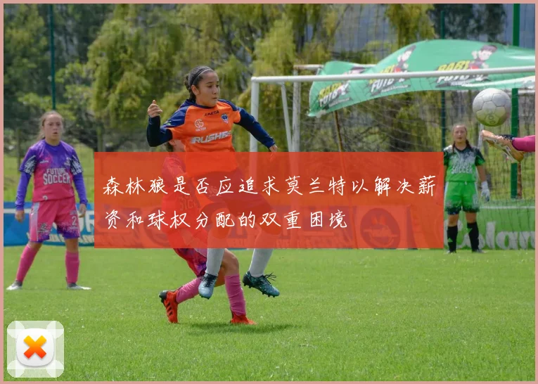 森林狼是否应追求莫兰特以解决薪资和球权分配的双重困境