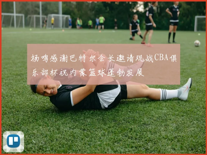 杨鸣感谢巴特尔会长邀请观战CBA俱乐部杯祝内蒙篮球蓬勃发展
